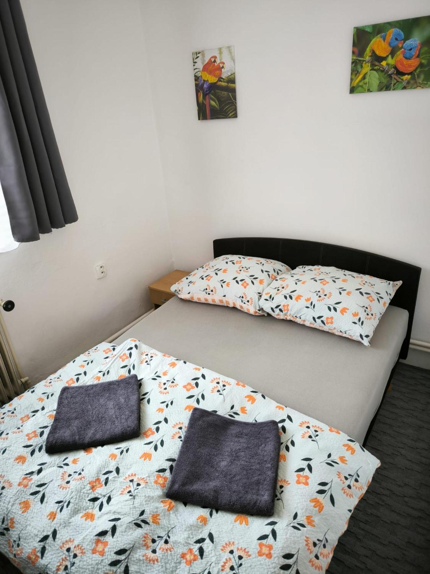 Apartman U Potoka Kestrany Buitenkant foto